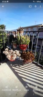 Appartamento Gemma - Pietrasanta - 6
