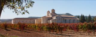Castilla Termal Monasterio de Valbuena - Valbuena de Duero - 8