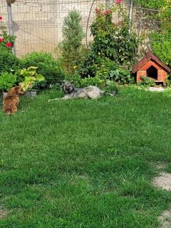 MYONNA Style Slobozia - 9