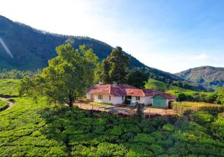 Arivikad Tea Bungalow Munnar by VOYE HOMES - Suryanelli - 6