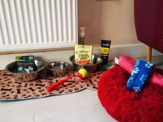 2 Bed in Tiverton 78468 - Cheriton Fitzpaine - 3