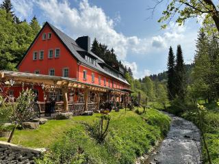 Erlebnishotel & Restaurant Fichtenhäusel am Pöhlagrund - Kühberg - 0