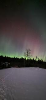 Nygård Cabins - brandnew, fully equipped home in nature - 3