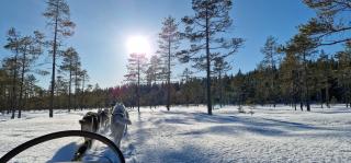 Nygård Cabins - brandnew, fully equipped home in nature - 2