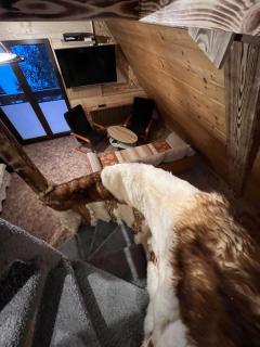 Apartamenty i Domki Taterka - Kościelisko - 8