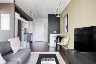 ChinatownTheater District 1br w gym wd nr T BOS-787 - 6