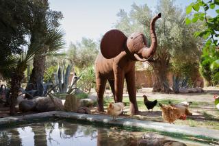 Villa MISH-MISH - Marrakech - 4