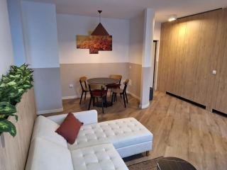 Apartament Septimiu Albini - 9