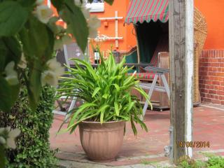 Großzügige Fewo mit Terrasse, Strandkorb - Bansin - 7
