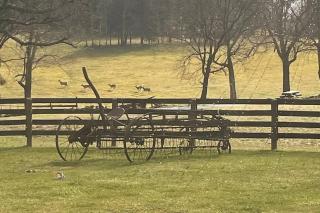 Bourbon Trail Cabin on the Farm - Lawrenceburg - 4
