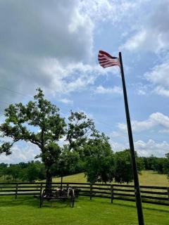 Bourbon Trail Cabin on the Farm - 2