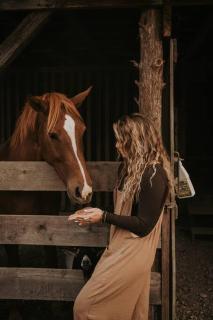 Bourbon Trail: Caboose on the Farm - 3