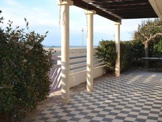 VILLA face à la plage avec terrasse et jardin - Narbona - 9