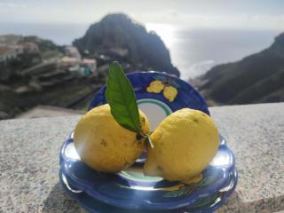 Terrazza Belvedere a Pontone -Scala- Amalfi coast- park included - Pontone - 8