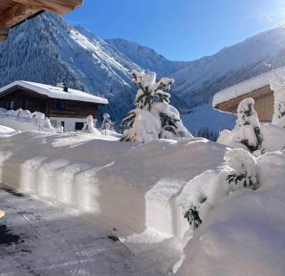 Chalet GAIA im Bergdorf Berwang - 8