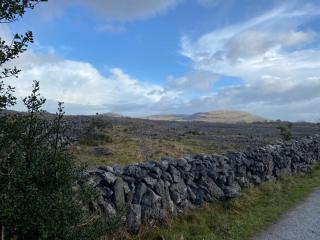Burren Garden Glamping Hut - Boston - 1