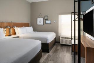 Four Points by Sheraton Alexandria - Alexandria - 8