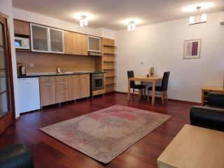 Chalet Montagne Bansko apartment - Bansko - 0