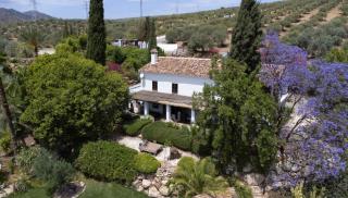 Finca Dariana Padel & Pool - Alora - 7