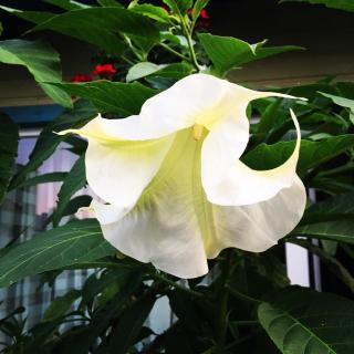 HermiinStay - apartment with sauna and hot tub - 6