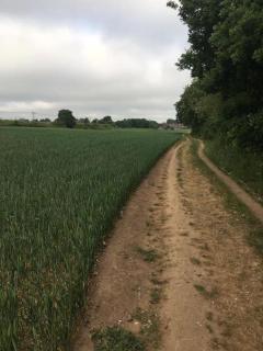 Pinewood #Edwinstowe - Edwinstowe - 3