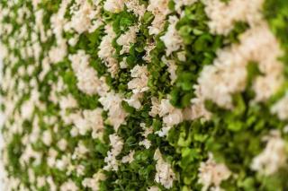 Uncomparable Luxury in Naples Un Lusso ineguagliabile a Napoli - Naples - 7