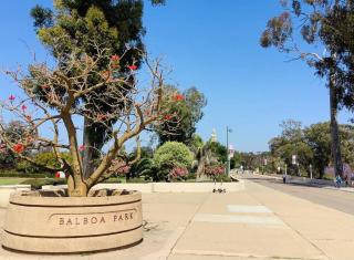 4BR Spectacular Harbor View Modern Home 5min Zoo - San Diego - 2
