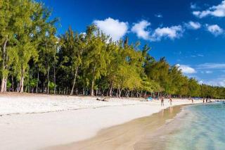 Grand Baie,Diamond Dove C 6 Triplex - Grand Baie - 1