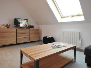 Gîte lumineux et calme avec terrasse, barbecue et parking à 5 km de Colmar - FR-1-744-32 - Houssen - 7