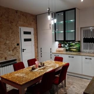Roztocze 3 kroki od sosny - Zamość - 8