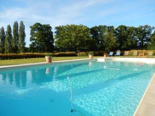Luxueux gîte avec piscine et Wifi, proche circuit 24H du Mans, animaux bienvenus - FR-1-410-430 - 9