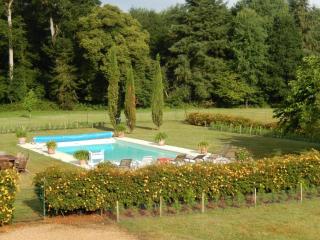 Luxueux gîte avec piscine et Wifi, proche circuit 24H du Mans, animaux bienvenus - FR-1-410-430 - Les Bouleaux - 3