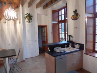 Luxueux gîte avec piscine et Wifi, proche circuit 24H du Mans, animaux bienvenus - FR-1-410-430 - 2