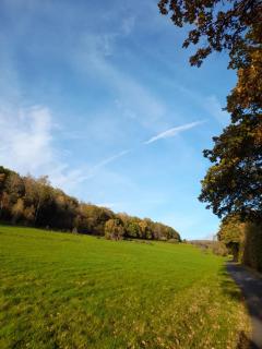 Naturerlebnis Ferienhaus - Neunkirchen - 9