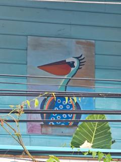 Casa Pelicano - Bocas Town - 8