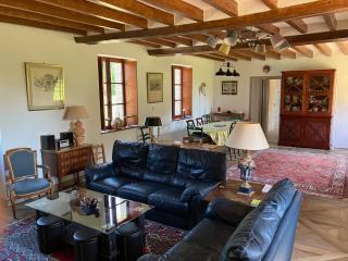 Luxueux gîte avec piscine et Wifi, proche circuit 24H du Mans, animaux bienvenus - FR-1-410-430 - Les Bouleaux - 5