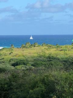Villa Mawali - Sainte-Anne - 3