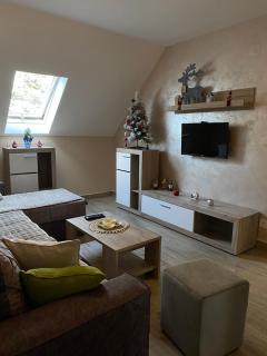 Apartman Maksimović Divčibare - Divčibare - 2