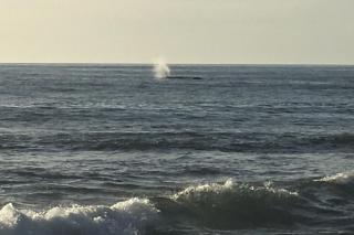 Seaside Serenity Haven - 1