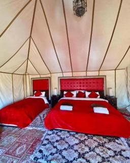 Sahara Relax Camp - 8