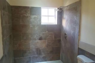 Tropical Home Oasis - 2