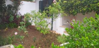 Hub urbano e natureza - São Paulo - 7
