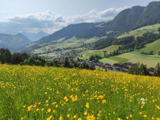 Chalet Mountain View - Alpbach - 8