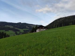 Chalet Mountain View - Alpbach - 3