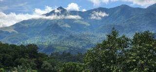 treevillawayanad - Vythiri - 7