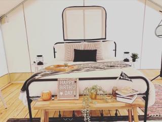 Luxury Glamping Tents @ Lake Guntersville State Park - Guntersville - 4