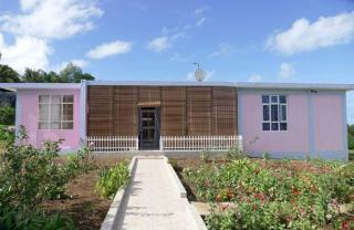 Bois Gournable - Rodrigues Island - 9