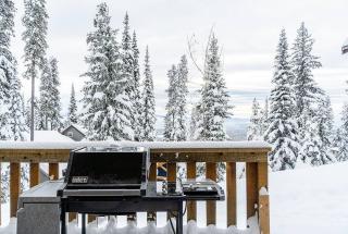 Eagle Ridge Pet-Friendly Chalet - 5