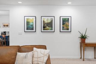 Lupine Landing - Mariposa - 3