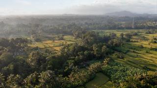 Sacred Canyon Ubud by Pramana Villas - Payangan - 2